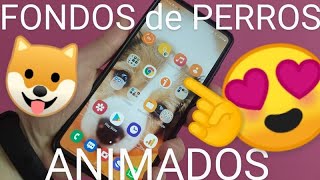 🐶📳 Como PONER FONDOS de PANTALLA de PERROS ANIMADOS FÁCIL y RÁPIDO screenshot 1