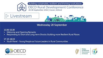 Responding to Short and Long-term Shocks: Building more resilient places