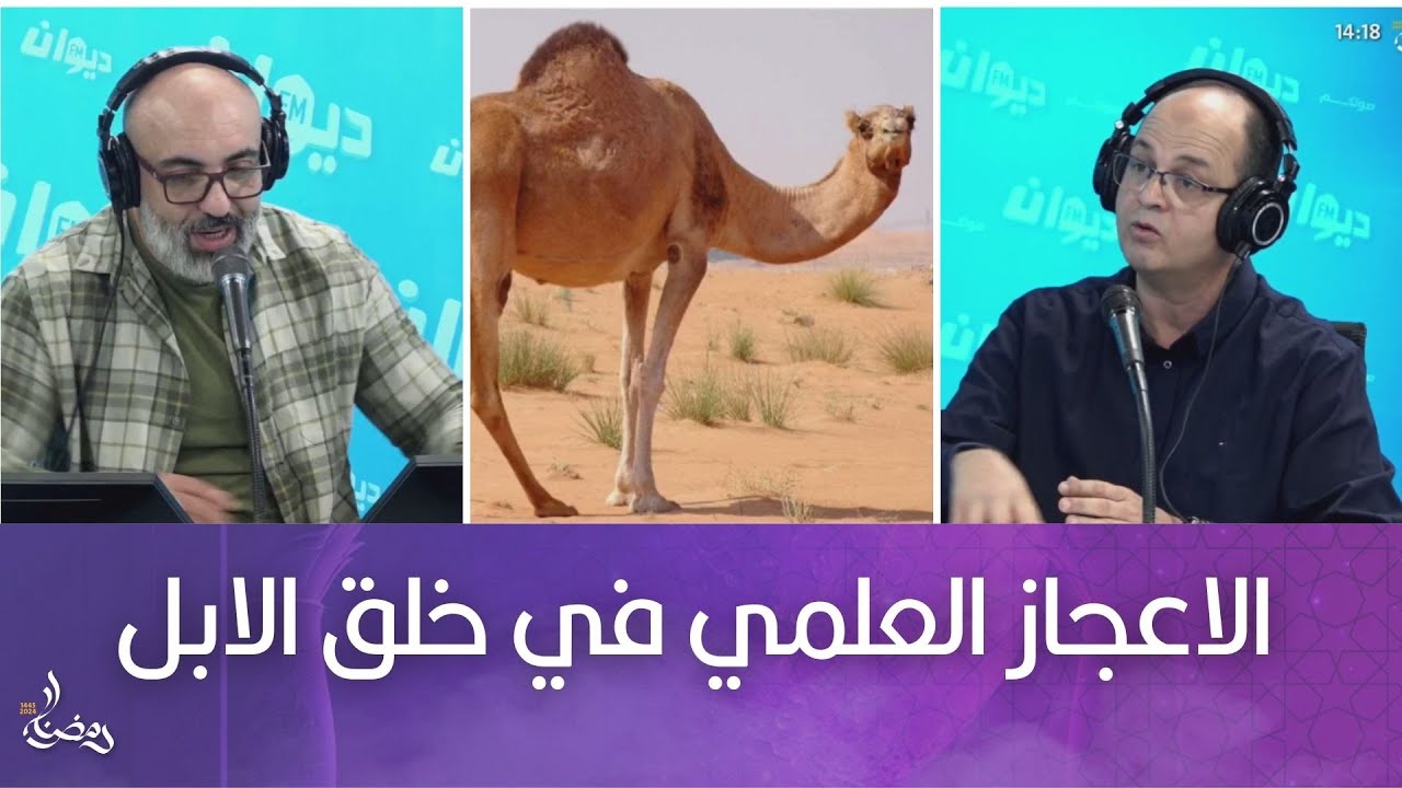 الاعجاز العلمي في خلق الابل