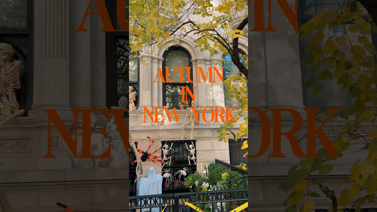 Fall in NYC 🍂 | Central Park Walks, Crisp Air, and City Charm