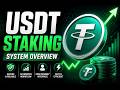 USDT Staking Workflow | Crypto System Overview Guide