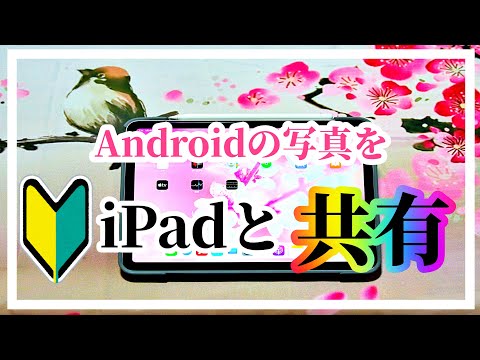 シニアのための iPad Air 4 AndroidからiPadに写真を入れる　やり方　初心者基本　簡単　講座  アイパッドエアー４