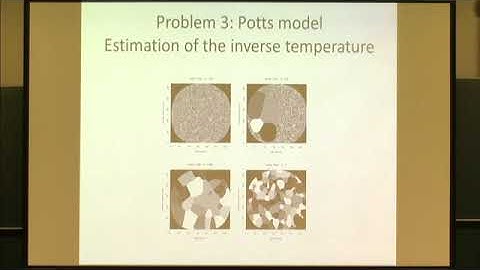 Prof. Kerrie Mengersen | Pre-Processing for Approximate Bayesian Computation in Image Analysis