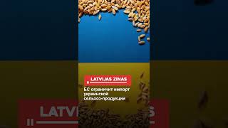 ЕС ограничит импорт украинской сельхоз-продукции