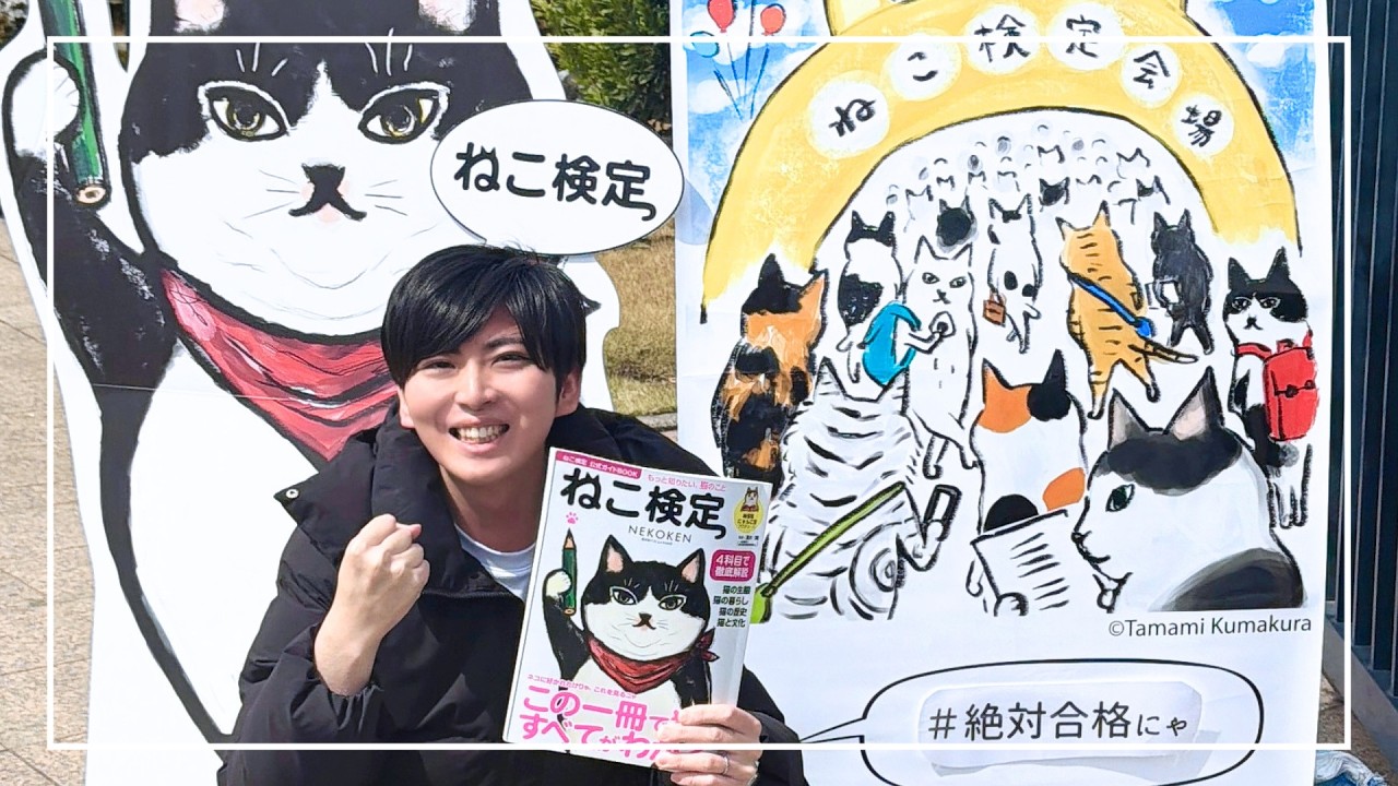 ねこ汰　3/15まで Cat Proficiency Test Battle! Who Scored Higher, Me or My Wife