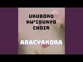 Aracyakora