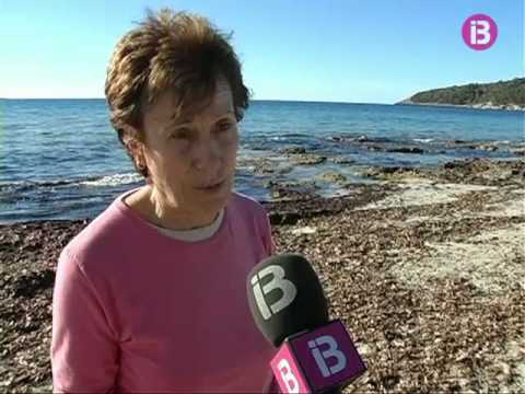 Vídeo: Les 10 millors platges d'Espanya