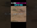 名前からして「Dragonfly」な チートキャラ