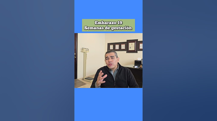 Embarazo 19 semanas el bebé pesa 250g