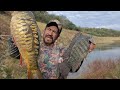 Increible carpas trofeo bagres y tilapias en los arroyos de las barrancas