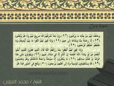 الشيخ محمد العريفي تلاوة سورة يس