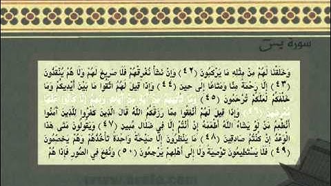 الشيخ محمد العريفي  تلاوة __ سورة يس