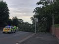 Fallen Tree Whitegate Drive, Blackpool 14th June 2021