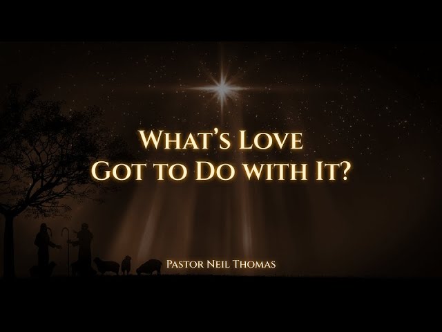 What's Love Got to Do with It?