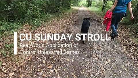 Passing a jogger on a trail: Control Unleashed® (CU) games to help your reactive dog gain confidence