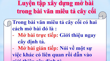 TIẾNGVIỆTLỚP4-TUẦN25-TLV-BÀI:LUYỆN TẬP XÂYDỰNG MỞ BÀI TRONG BÀIVĂNMIÊUTẢ CÂYCỐI-TrườngTiểuhọcBôngSao