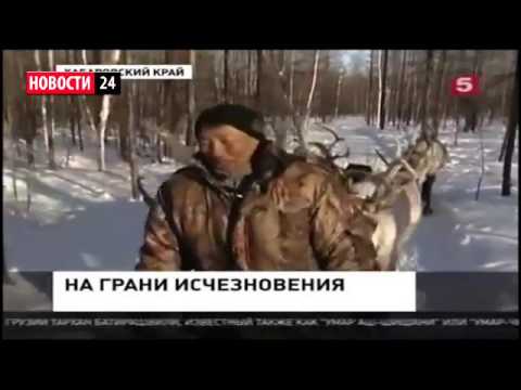 Новости в селе пески поворинского района