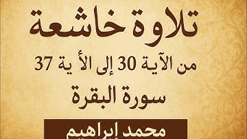 تلاوة خاشعة من الآية 30 إلى 37 من سورة البقرة بصوت محمد إبراهيم 🌿
