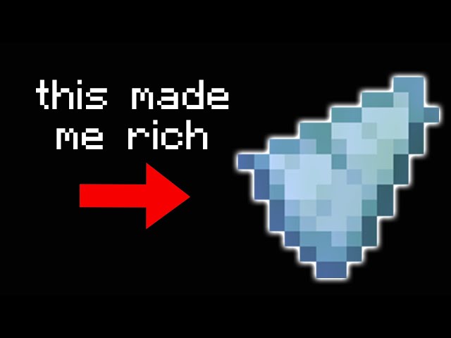 I Spent 1000 Hours fighting for this Minecraft item Here's why 