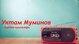 Уктам Муминов туйдан кушиклари🎵🎶