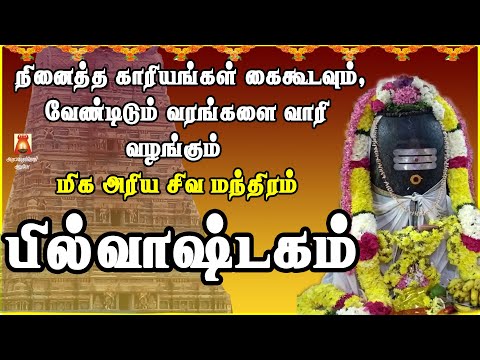 வாழ்வில் கேட்டதை அள்ளிக்கொடுக்கும் | மிக அரிய சிவ மந்திரம் | பில்வாஷ்டகம் | LORD SIVAN BAKTHIPADAL