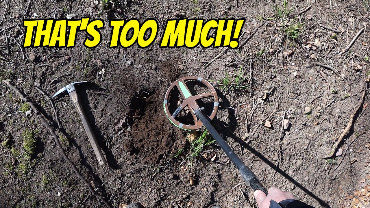 Too Many Finds? Amazing Metal Detecting Experience!