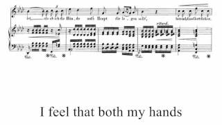 Robert Schumann, Du bist wie eine Blume, op. 25 n. 24 (1840) - with score and subtitles