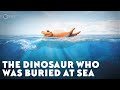 The Dinosaur Who Was Buried at Sea