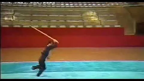 Feng Mo Gun -  Wushu