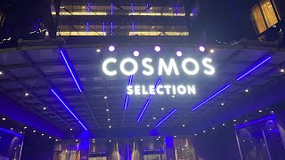 Cosmos Selection Moscow Sheremetyevo Airport Hotel 5*