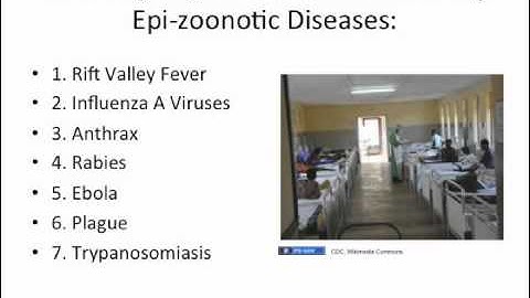 EAHA Day 1 Session 2B: Epizoonotics Of Importance Lecture