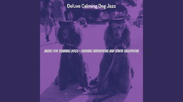 Groovy Moods for Resting Dogs