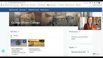 BRIGHTSPACE: Joining your online class