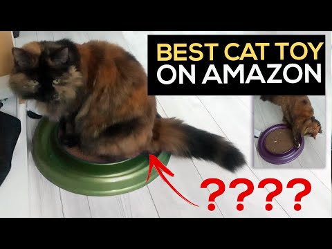 Coastal Pet - Turbo - Scratcher Cat Toy | Best Cat Toy for Indoor Cats | Scratch Pad with Ball