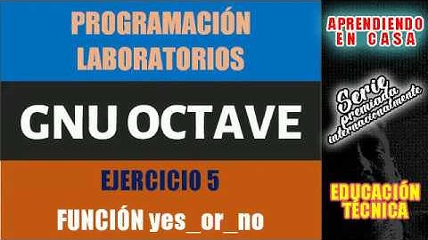 GNU OCTAVE ingreso de datos desde consola FUNCION yes or no
