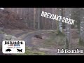 Drevjakt 2020