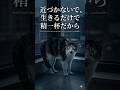 200日前、世界を敵だと思っていた小さな命 #野良猫の現実 #猫の親子