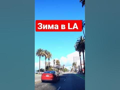 Зима В Лос Анджелесе #зима #лосанжелес #шортс - YouTube