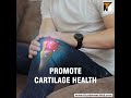 Support Joint Comfort & Mobility with High-Purity MSM