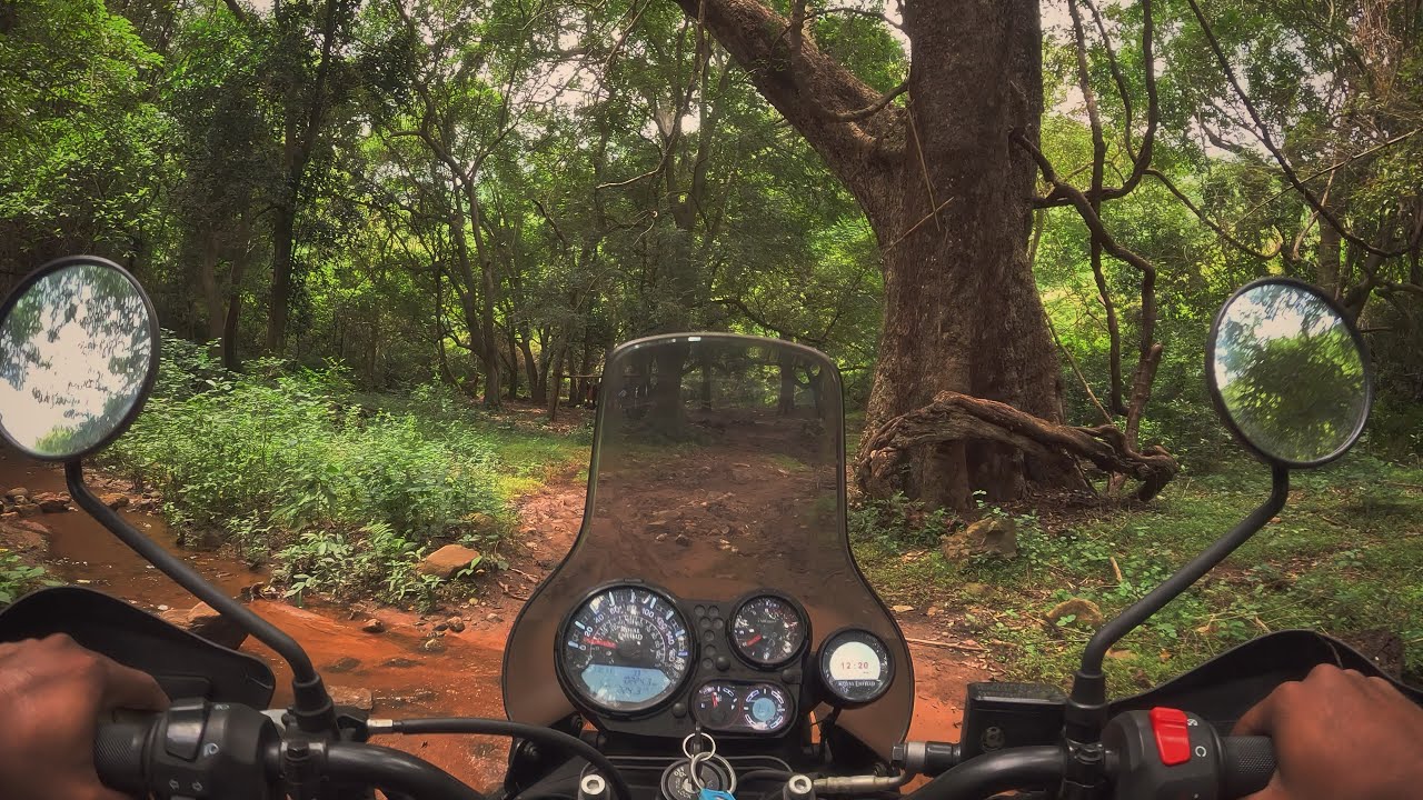 Forest Bike Ride | Escaping City Roads | Himalayan 411 GoPro