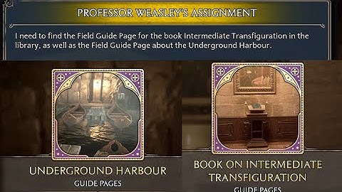 Learning Transformation - Professor Weasley