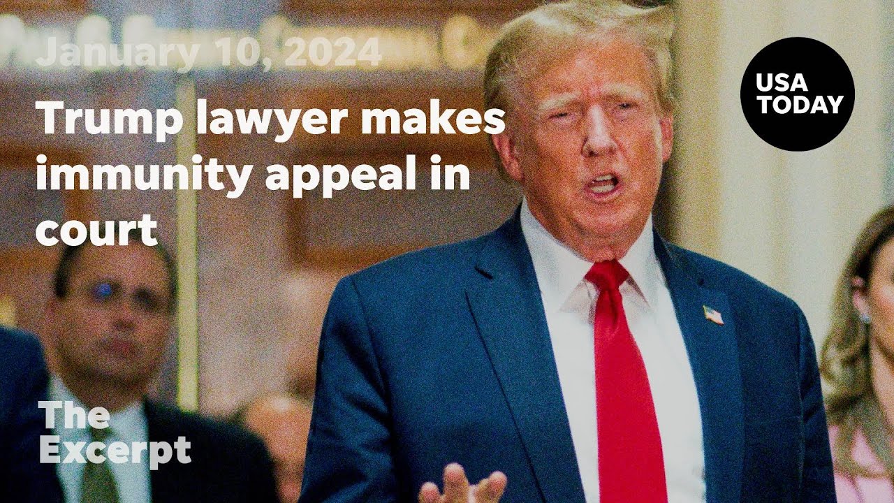 Trump lawyer makes immunity appeal in court | The Excerpt