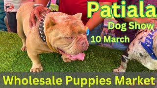 Patiala Dog Show 2024 | Wholesale Puppy  Market in Punjab | PATIALA DOG SHOW ‍