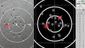 The Electronic Target Experience