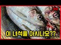 안보면 손해 이거만 보면 할 수 있는 청어 손질 오로시,스시,이소베마끼 How to SASHIMI #ニシン #herring #seafood