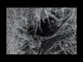 "crystal nights" | Dark x Ambient Pop | Experimental Beat 2025