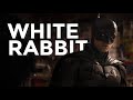 Multifandom  white rabbit