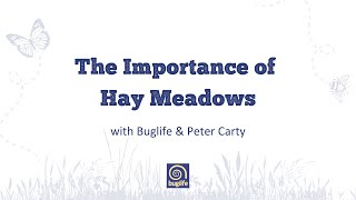 The Importance of Hay Meadows