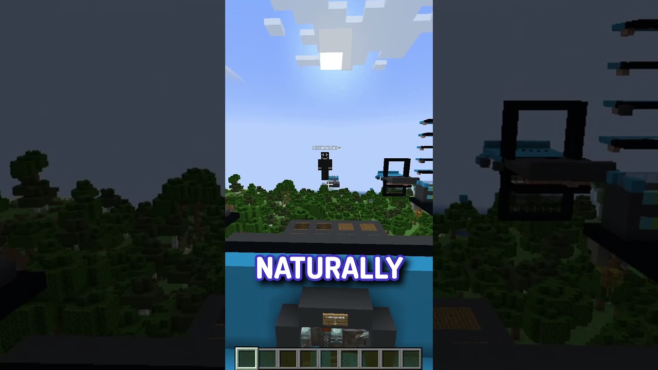Minecraft Mob Guess Who 8