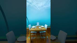 Tropical State Of Mind